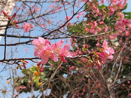 IMG_0535.jpg