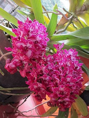 IMG_0947.jpg