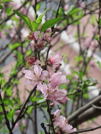 IMG_2020.jpg