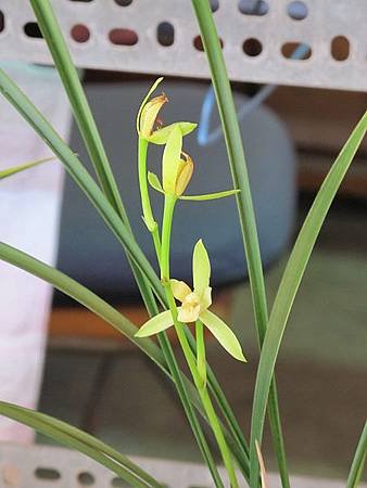 IMG_1027.jpg