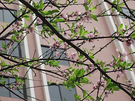 IMG_2022.jpg