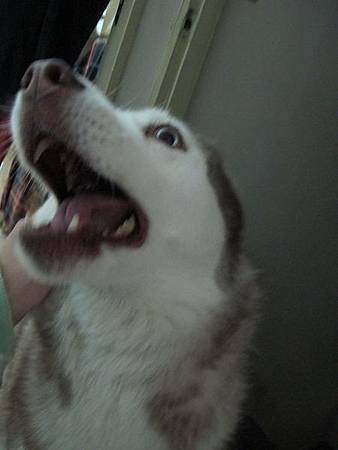 IMG_0889.jpg
