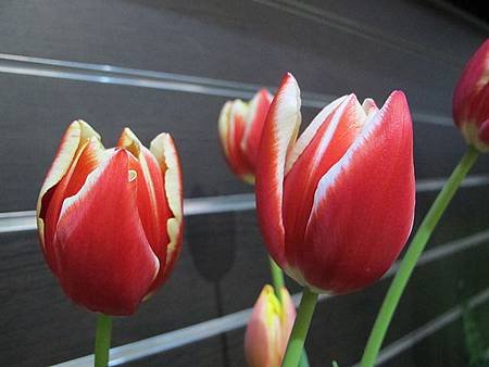 IMG_0577.jpg