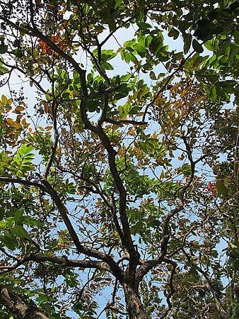 IMG_1209.jpg