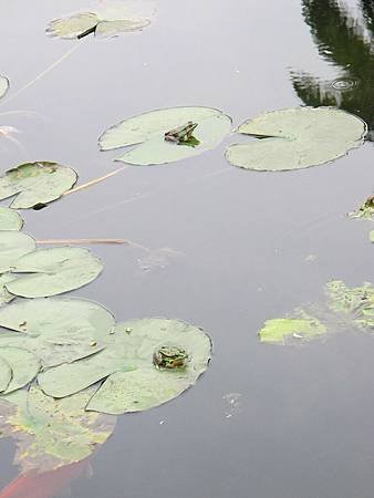 IMG_2123.jpg