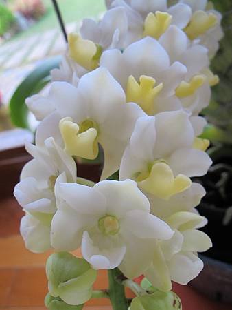 IMG_0968.jpg