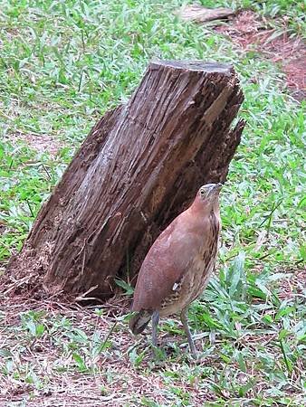 IMG_0219.jpg