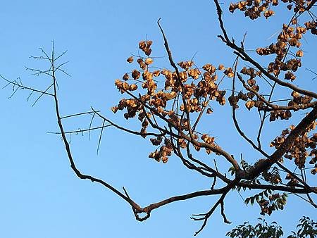 IMG_0832.jpg