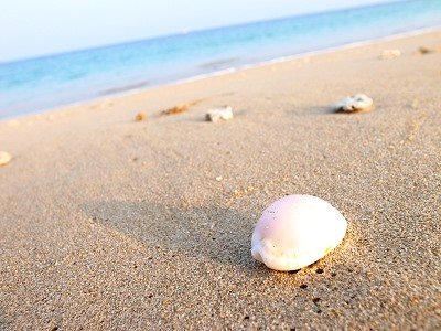 2011051710.jpg