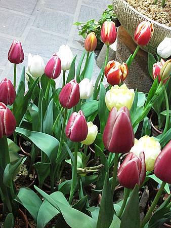 IMG_0787.jpg