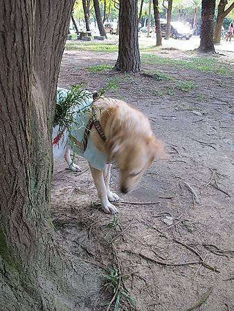 IMG_1518.jpg