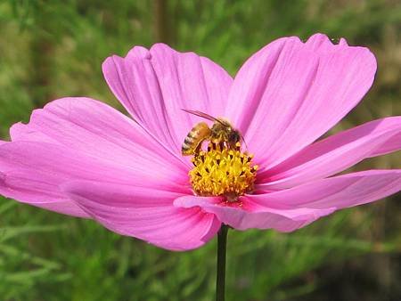 IMG_1173.jpg