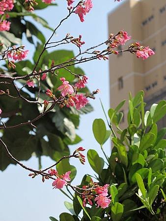 IMG_0518.jpg