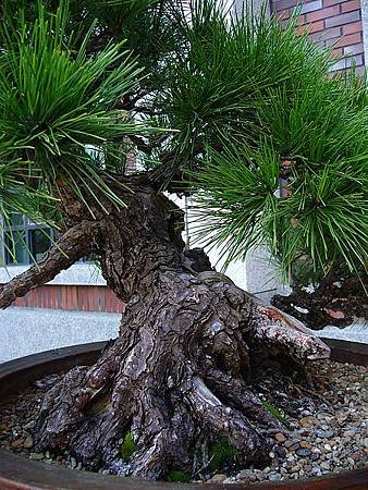 P1020594.JPG