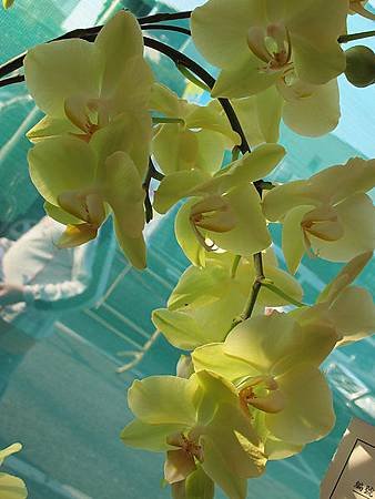 IMG_1140.jpg