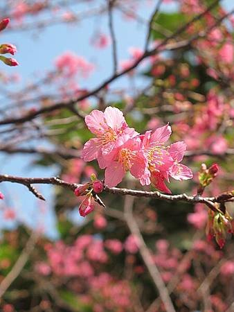 IMG_0507.jpg