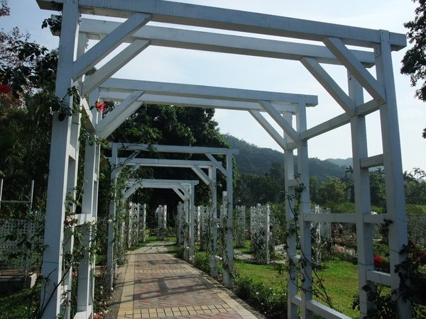 DSCF2657.JPG