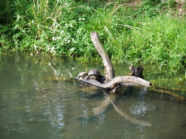 DSCF2707.JPG