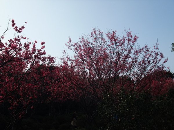 DSCF2742.JPG