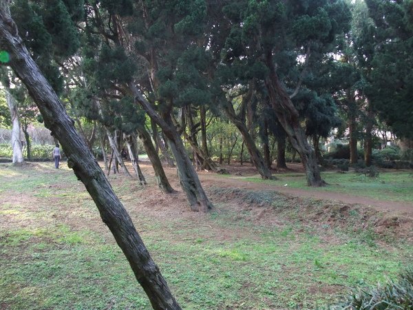 DSCF2760.JPG