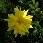 DSCF2652.JPG
