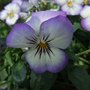DSCF2668.JPG