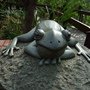 DSCF2704.JPG