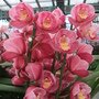 DSCF2714.JPG