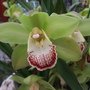 DSCF2715.JPG