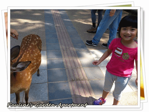3.gif