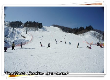 DSC08033.JPG