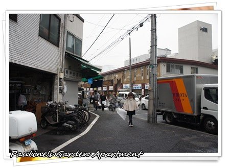 DSC08384.JPG