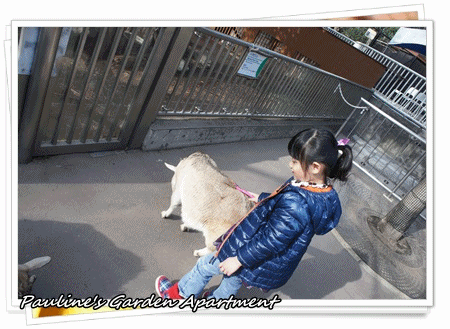 24.gif