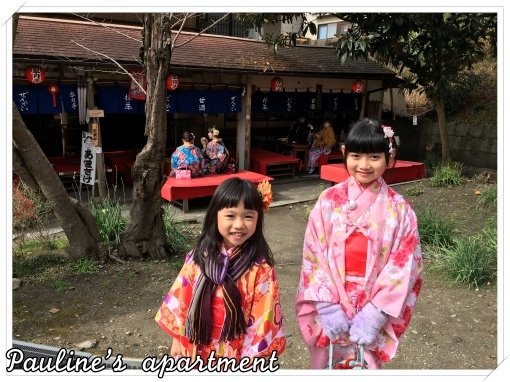 batch_IMG_0095.jpg