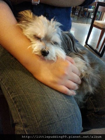 20130908_161116.jpg