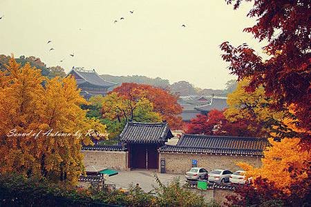 IMG_4834_副本1