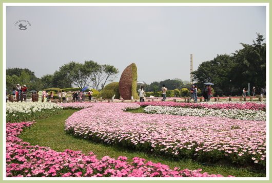 花博新生園區 6.jpg