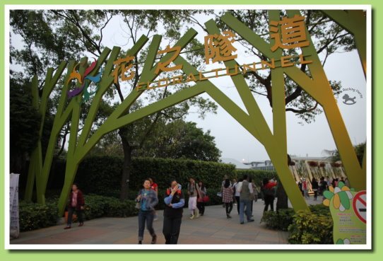 花之隧道 4.jpg