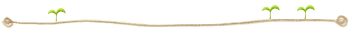 2.gif