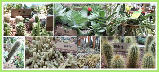 花博(未來館) 6.jpg