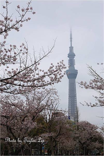 錦系公園1