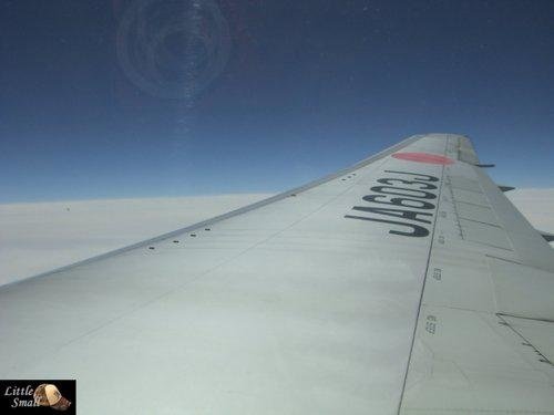 080326-03.jpg