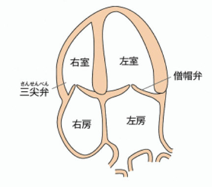 未儲存的“預覽程式”文件 6