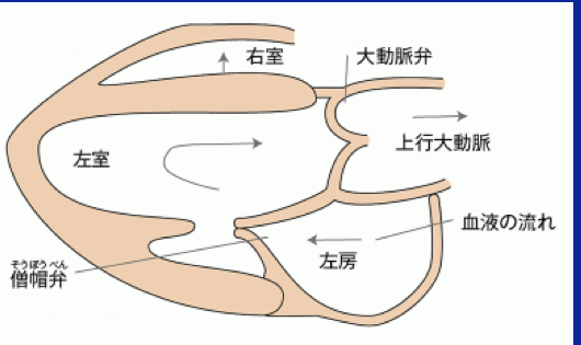 未儲存的“預覽程式”文件 2