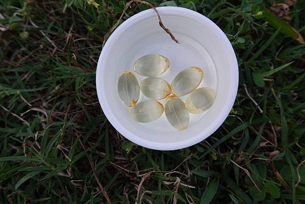 大研EPA 80%快樂魚油軟膠囊 (9).JPG