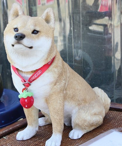 31柴犬聚.jpg
