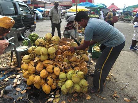 CastriesCoconut