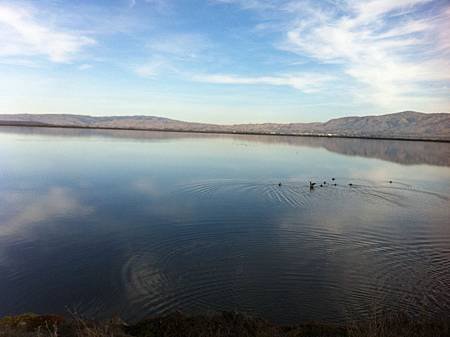 Alviso