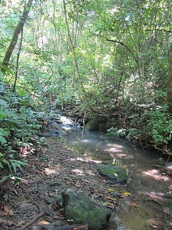 Manuel Antonio