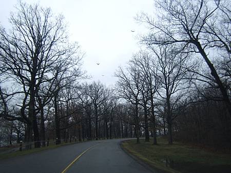 Niagara Parkway